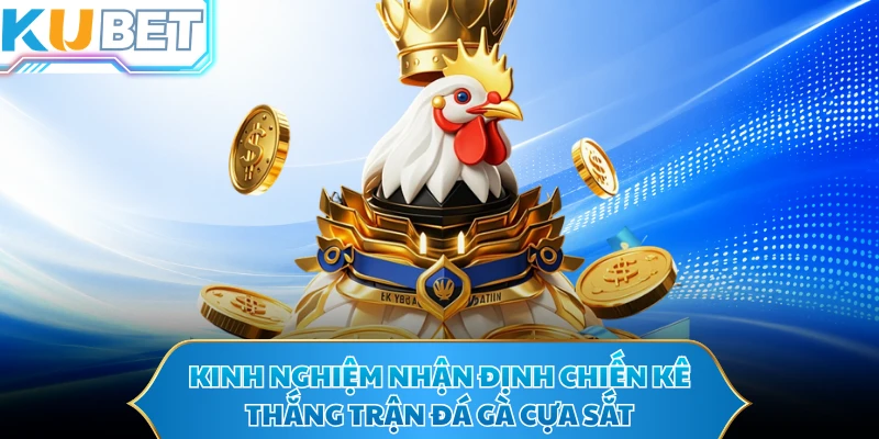 Kinh nghiệm nhận định chiến kê thắng trận đá gà cựa sắt